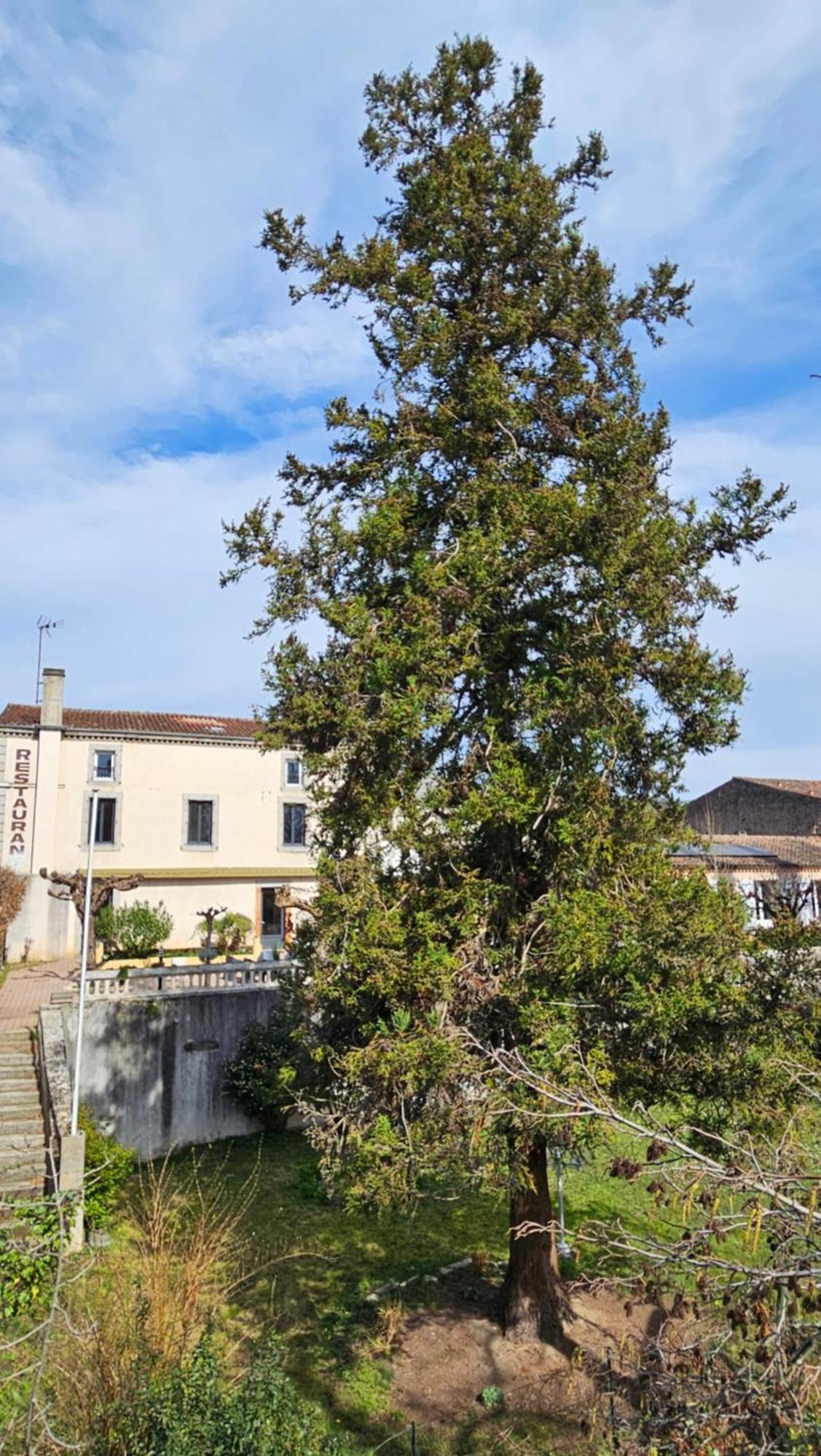 Coliv'Castres Burlats Exterior foto